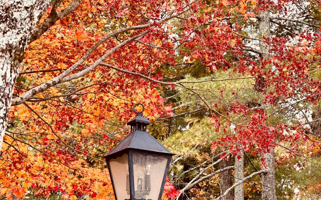 Fall Electrical Solutions to Brighten Your Home This Season