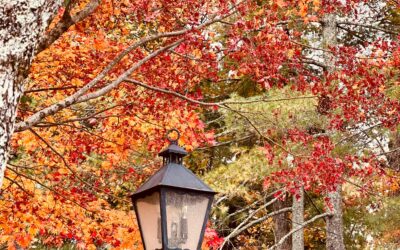 Fall Electrical Solutions to Brighten Your Home This Season
