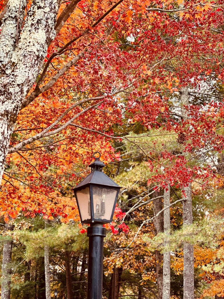 Red quotation mark symbol on a white background.