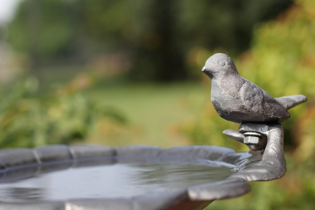 bird baths fountains electrical safety
