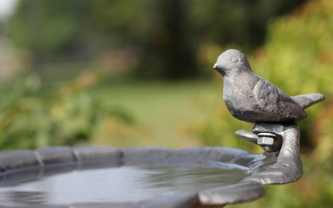 Bird Baths & Fountains: Electrical Safety Tips for Homeowners