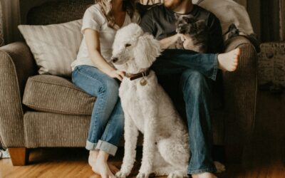 Electrical Safety for Pets at Home