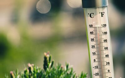 Signs Summer Electrical Damage May Be Affecting Your Home